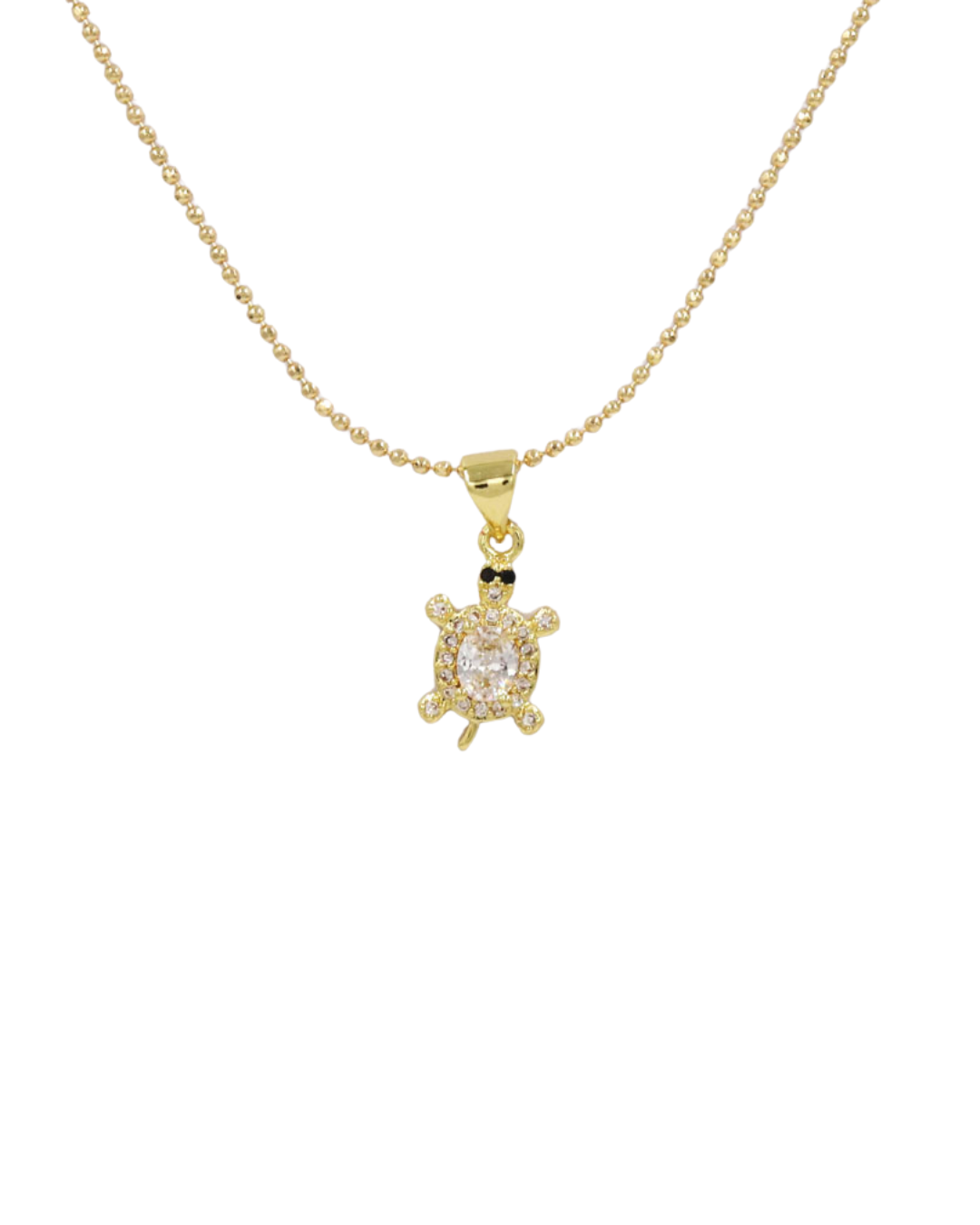 Collar de Tortuga