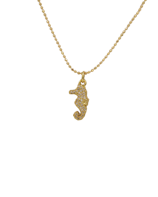 Collar de Caballo de Mar